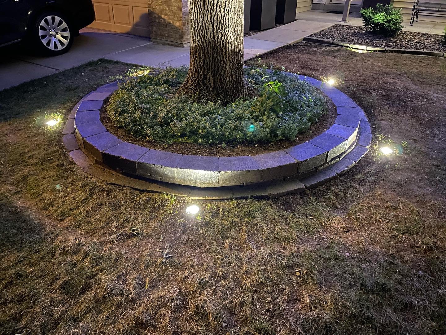 A tree is lit up by the lights on it.